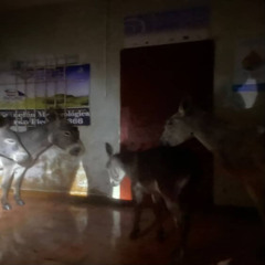 luko m - Inspire [MK PREMIERE]