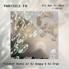 Palmset Radio w/ DJ Buggy & DJ Cryo - Mar 11th 2022