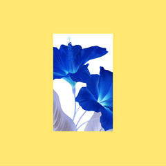 Premiere: Budakid - Lovin' Sun (Renato Cohen Remix) [Flores Records]