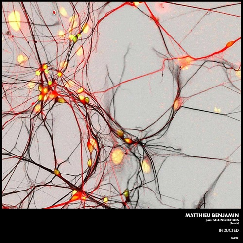 TC Premiere: Matthieu Benjamin - They Were United In Death [ Immaterial Archives ]