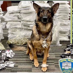 aLL hIPS (prod. key kelly)