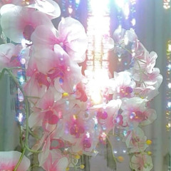 too close - [prod.novachance]