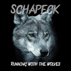 Schapeck - Running With The Wolves (TECHNO)