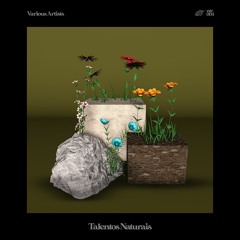 Moonphazes - New Day [Nature Recordings]