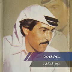 عيون هويدة