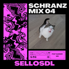 Schranz Mix 04