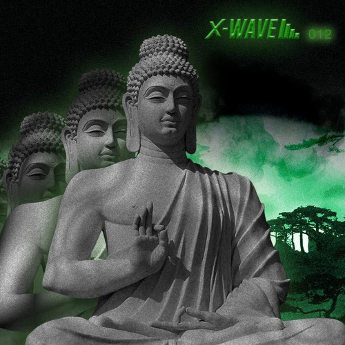 X-WAVE #12 - Goasis - 28/11/2020