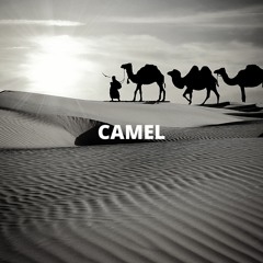 Hard Drill Type Beat - "Camel" [Copyright Free Music]