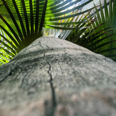 Hangkelte @ Tilos oneeyedman - 2025.10.19. - oneeyedman