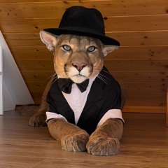 Phoenix Movement — (TECHNO)