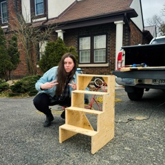 Tried So Hard (Linkin Park Remix)