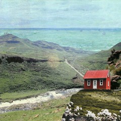 to the girl in the red coat