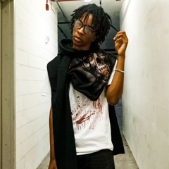 lin - feng shui (ilytris + bruhotb) [slump audios exclusive + v8gve]