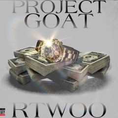 Rtwoo-Project Goat