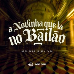 A NOVINHA QUE TA NO BAILÃO, TA DE SACANAGEM - MC D12 & DJ VM