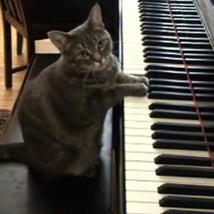 Piano1#3
