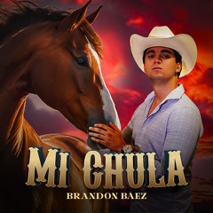 Mentiría