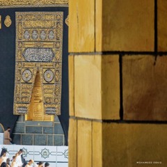 وَمَا تُخْفِي صُدُورُهُمْ أَكْبَرُ ۚ | سورة آل عمران | القارئ ناصر القطامي