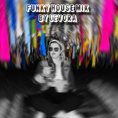 Funky House by LEVORA