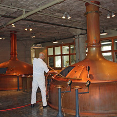 Brewer’s Trace