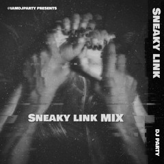Sneaky Link Mix 🤫💦 @iamdjparty