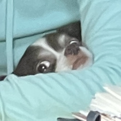 きみの名前(デモ)