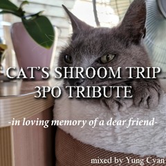 Cat's Shroom Trip 3PO Tribute (October 2023 RIDDIM DUBSTEP MIXTAPE)