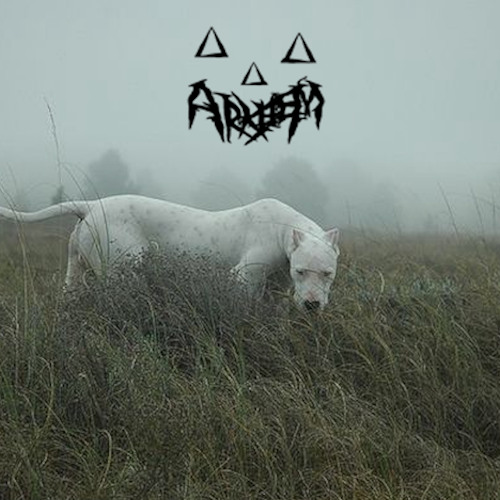 Hack Cuntry **IMSOFUCKINDONE** MIX CRA Radio
