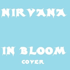 In Bloom (Nirvana Cover)