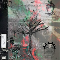 Roll In Peace (Kodak Black & XXXTENTACION Remix.)