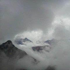 Am I Wrong ( Bush Remix ) -