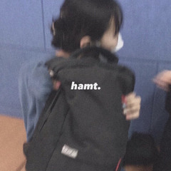 hamt. (solgoi version)