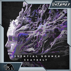 Essential Bounce - Seatbelt