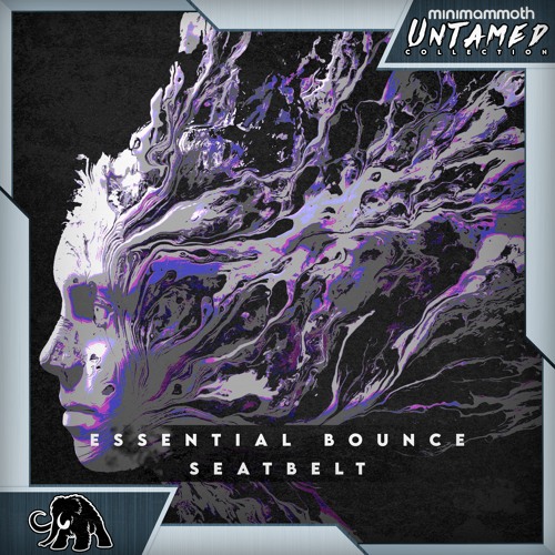 Essential Bounce - Seatbelt