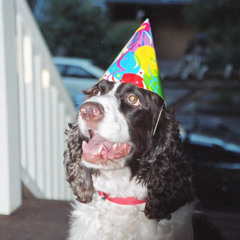 I put my face on a coin