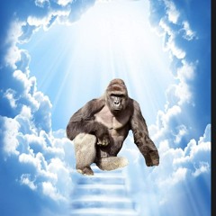 Simulated Carelessness