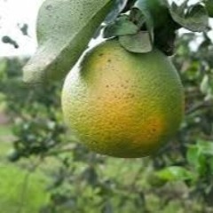 New Song For 2020 15