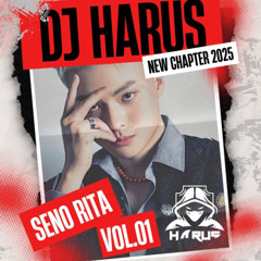 SENO RITA VOL.01 - DJ HARUS