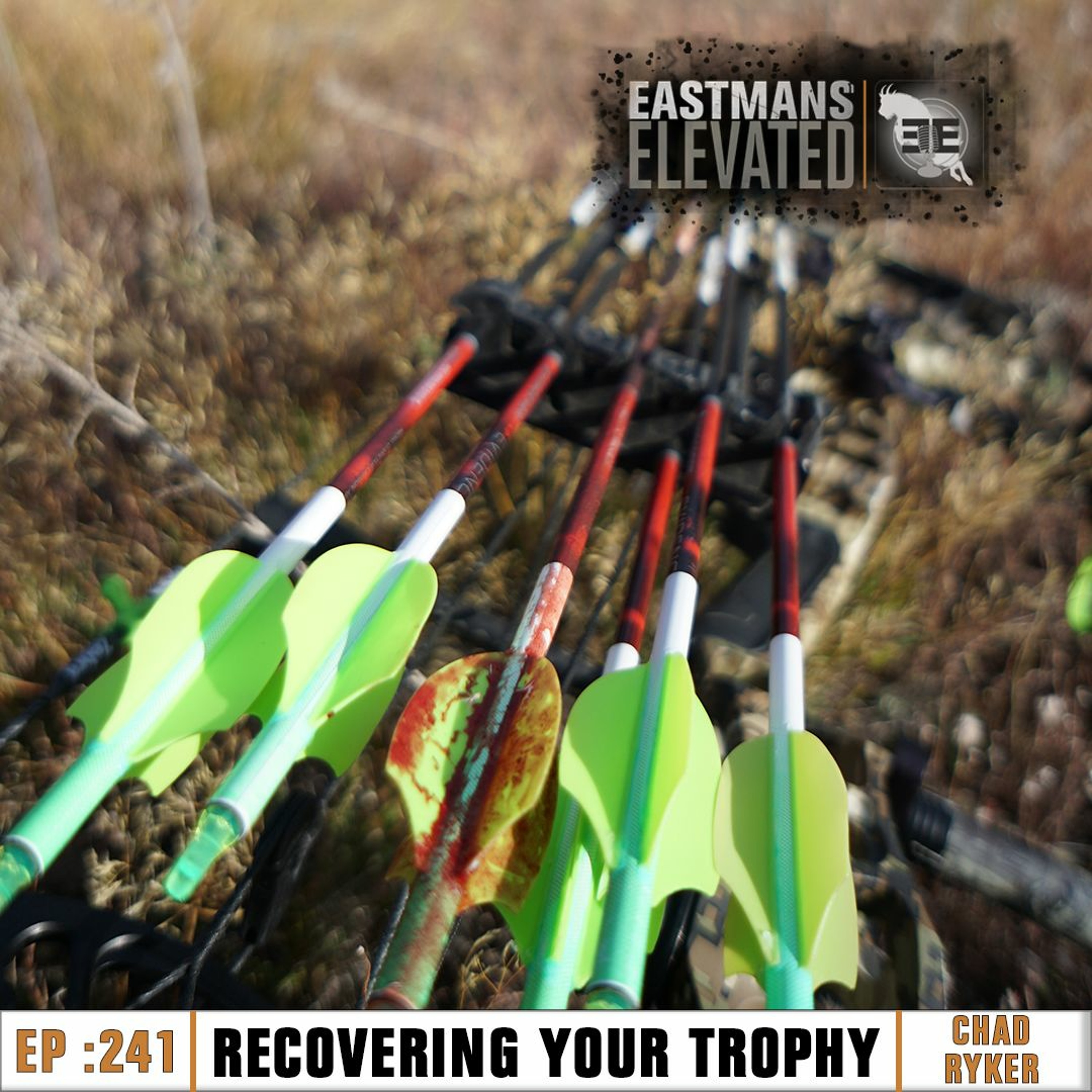 Episode 241: Recovering Your Trophy with Backcountry Rookies