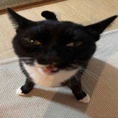 :3