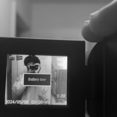 dear.demo[2024]