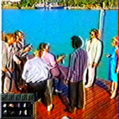 RAW DEAL ON THE COAST - VICEMAX (1994) CD-ROM