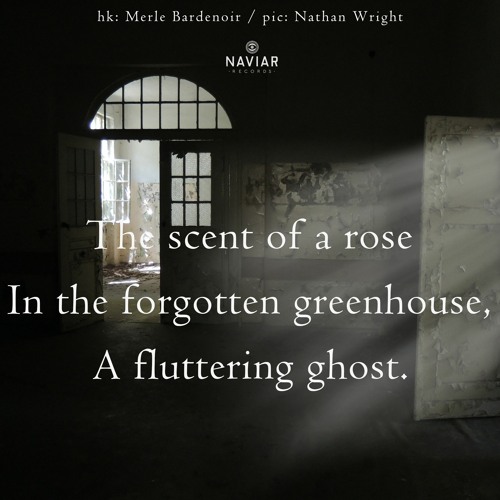 haiku #483: The scent of a rose / In the forgotten greenhouse, / A fluttering ghost.