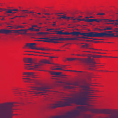 Solitude on a Lotus Leaf