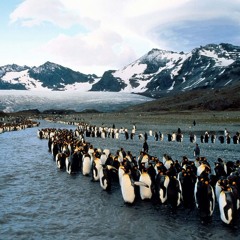 sudo + yvngtdoe - paint (sytruz) [stoptakinpleas + gaiohenken + weakblunt exclusives]