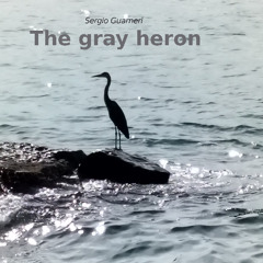 The Gray Heron