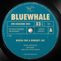 Bossa for a hungry cat (ft. Babylon The Beach & Blue Whale)