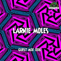 Guest Mix 006 - Larnie Moles