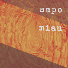 sapomiau - sesion abril 2025