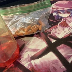 Touhou! by cheif runna